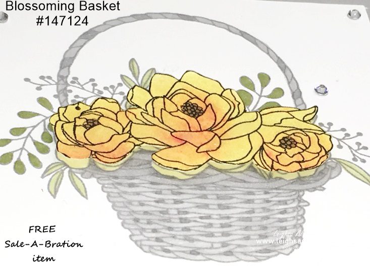 Easter Inspiration, Stampin' UP!, Stampin Up, Blossomng Basket, Sale-A-Bration, Brusho, 