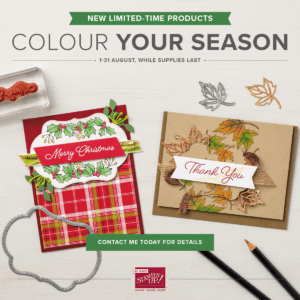 #leighsasloft #stampinup #colouryourseason #blendedseasons #stitchedseasons #watercolourpencils #watercolour