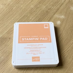 Grapefruit Grove Classic Stampin' Pad