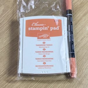 Tangerine Tango Classic Stampin' Pad and Stampin' Write Marker