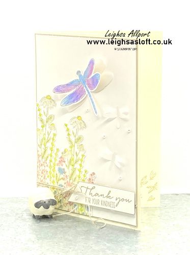 A Dragonfly Thank you Card Using Watercolour Pencils