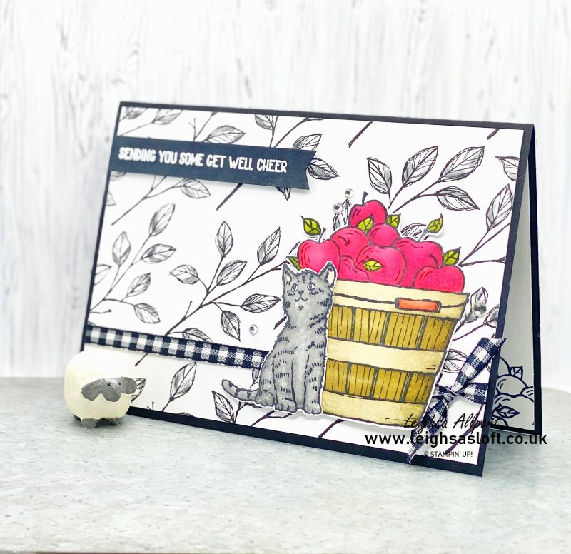 Cat Lovers Get Well Card, using Cheerful Basket stamp set and Perfectly Penciled DSP