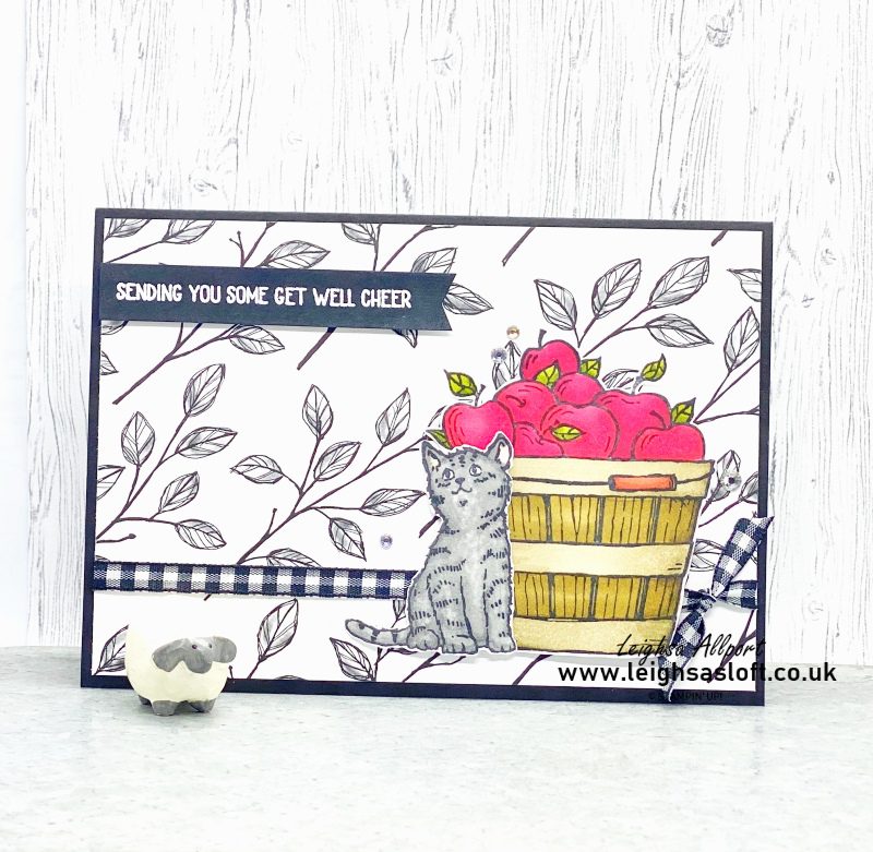 Cat Lovers Get Well Card, using Cheerful Basket stamp set and Perfectly Penciled DSP