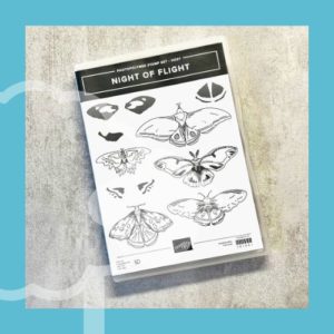 Night Of Flight Photopolymer Stamp Set