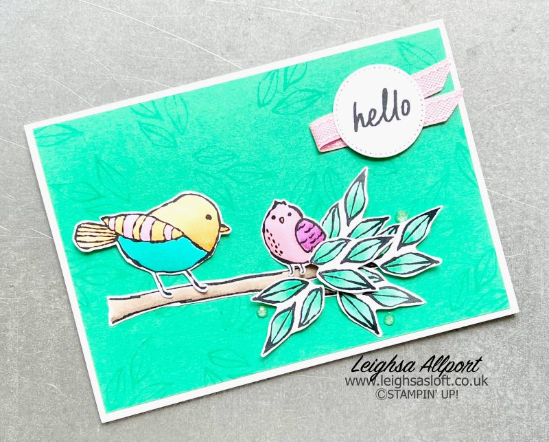 Bird's Eye View Hello card using the 2024-2026 In-colors