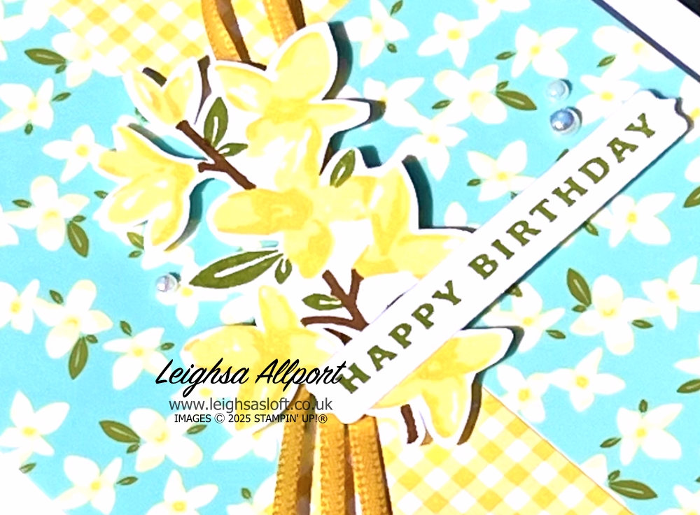Stampstatic Friends April Blog Hop - Fun with DSP. Floral Delight DSP and Vellum, Delightful Wishes Bundle. Patchwork Background