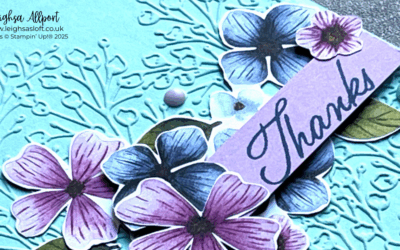 How To Use A Embossing Folder.