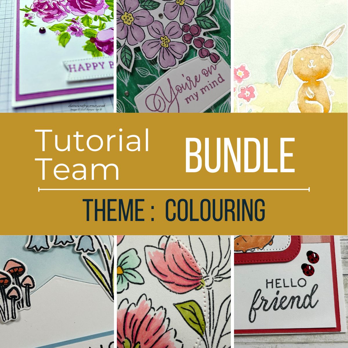 Free Tutorial with all online orders. March 26 - Colouring