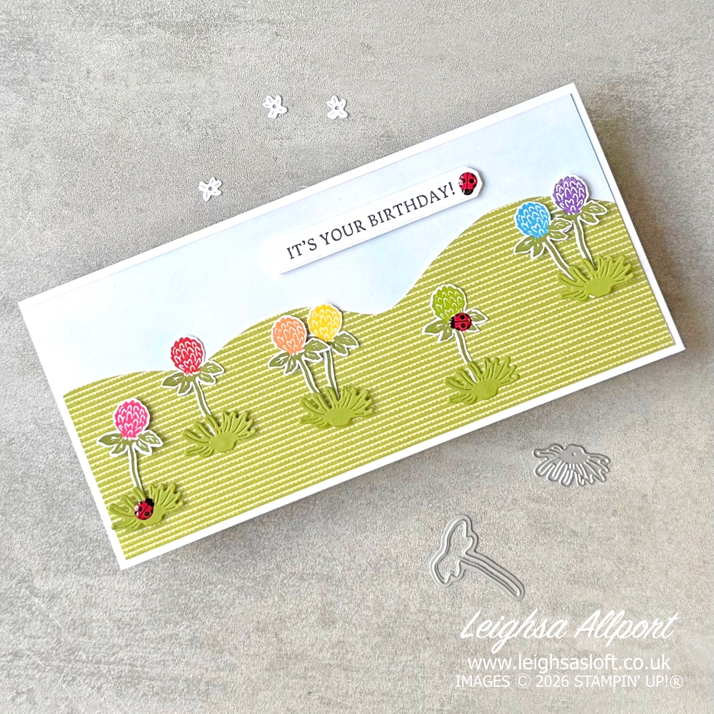 It's Your Birthday DL Card using the Flowering Meadow Bundle for a rainbow of flowers, Blended background and Old Olive DSP