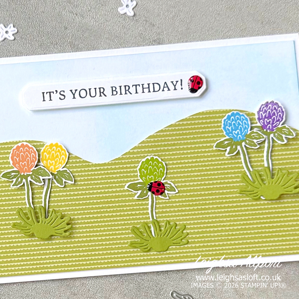 It's Your Birthday DL Card using the Flowering Meadow Bundle for a rainbow of flowers, Blended background and Old Olive DSP