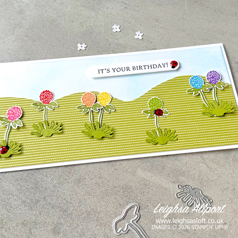 It's Your Birthday DL Card using the Flowering Meadow Bundle for a rainbow of flowers, Blended background and Old Olive DSP